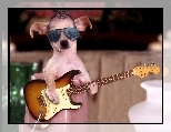 Pies, Okulary, Gitara