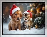 Grafika, Kot, Czapki, Śnieg, Szczeniak, Mikołaja, Choinka